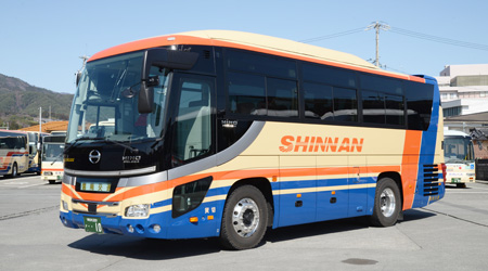 セレガショート(中型)